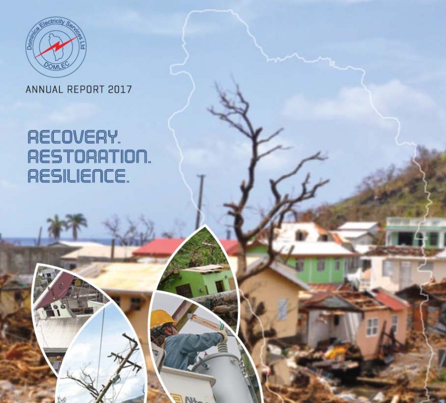 2017 Annual Report