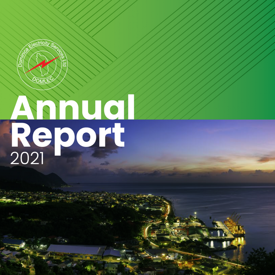 2021 Annual Report