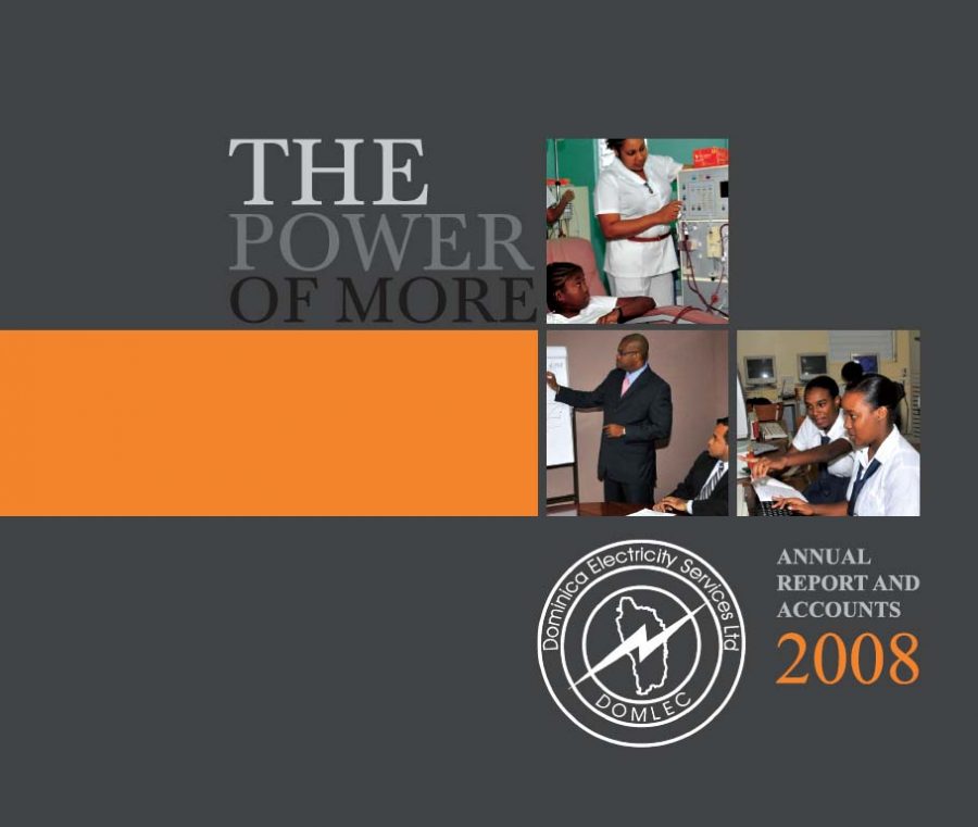 2008 Annual Report