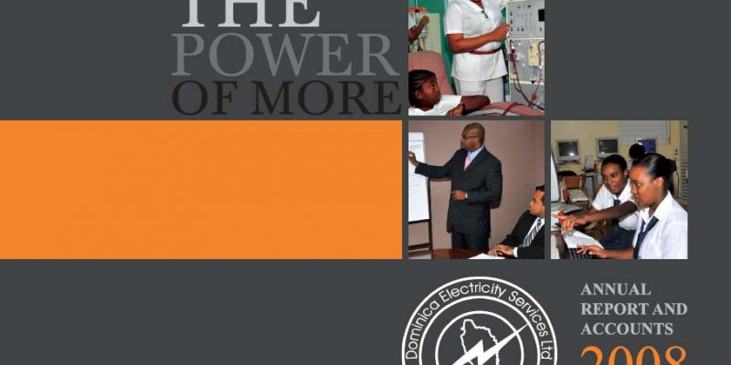 2008 Annual Report